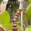 자연나무병원 이미지