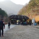 솔터농장 이미지