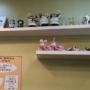 먹고쿡