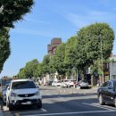 라플러쉬 이미지