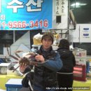 현태 이미지