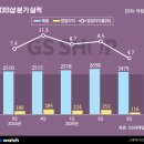 (주)지에스리테일 홈쇼핑 비즈니스워치