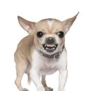 (주)라임코어 | 두 달치 블로그라는 거 읽어보실 분 계신가요?