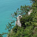 하화도 꽃섬길 이미지