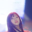 둥이 이미지