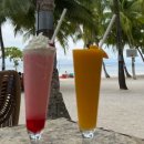 맥대중목욕탕 | 2025 필리핀 보홀 여름휴가🫧🐠