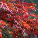 속초해변 이미지