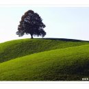 초원의 언덕 이미지