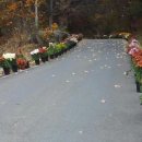 학남초등 이미지