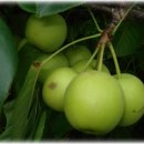 정성농장 이미지