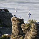 고운선율피아노 이미지