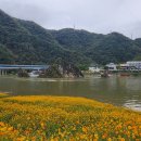 도담정원 이미지