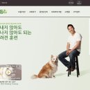 개통령 Daum카페