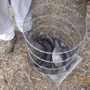 진우낚시터 이미지