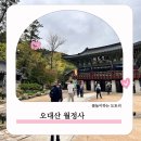 평창 월정사 석조보살좌상 | 꼭 한번 가봐야하는 여행지 평창여행 오대산 월정사 전나무숲길 다녀온 후기