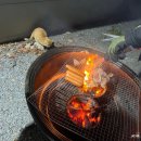 별빛테마마을 펜션동 | 영천 보현산 별빛테마마을 펜션동 숙박 리뷰 쏟아지는 별빛 속 1박 2일