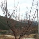 김정태 농장 이미지