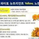 파이토뉴트리 이미지