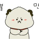 투어고고