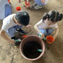 (자연놀이터) 🍅토마토모종 심기🍅❤️ 이미지