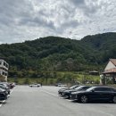 스완흑염소 이미지