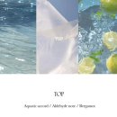 웰컴레인 이미지