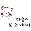 네이처러스 판포나일 이미지