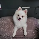 카온모터스 이미지