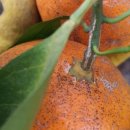 지승농장 이미지