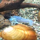 허숙희네 이미지