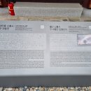 신흥사 구 대웅전 단청반자 | 신흥사 구 대웅전 단청반자(울산 유형문화재 제36호)