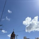 백일홍상사 | 경주여행 계림 천년숲 월정교 백일홍,꽃무릇 명소 (위치공유O,만개현황)