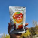 씨드팜