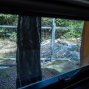 소나무세상 이미지