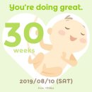 와이즈라이온 | [임신25주-30주] 만삭의 임산부, 차근차근 출산 준비하기