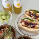 옵타티오 이미지