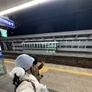 쩡옥이네 이미지