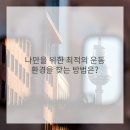 포유피티스튜디오 일광점 이미지