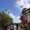 [안동호반자연휴양림/예끼마을] 102호 계명산 2024/11/15~2024/11/16 1박2일 7명 숙박 후기