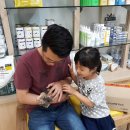 신내동물병원 이미지