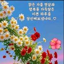 ♧.70살 넘으니 부부 뿐이더라.. 이미지