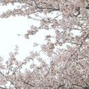 (주)개화 이미지