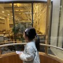 FUNNY LAND | 양양 쏠비치 플레이존! 아이랑 함께 즐기는 실내 테크노피아