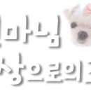 파리바게뜨 부개점
