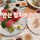 참치바라기 이미지