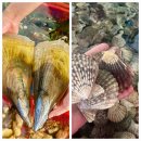 깜호프 | 나트랑 맛집 추천 깜란 씨푸드 해산물식당 몽우옥(+픽드랍)