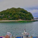 완도 주도 상록수림 이미지