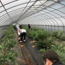 더샵1차어린이집 이미지