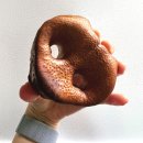 펫마트그루밍샵 | 견주의 고향, 스타필드 고양 몰리스 펫샵. 돼지코 간식과 1+1 구매 후기