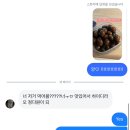 낭만고냥이